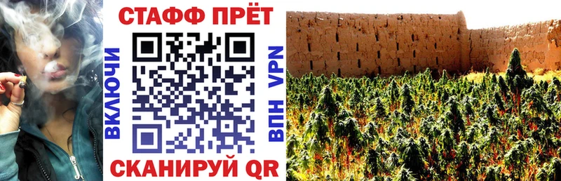 Наркошоп купить Псилоцибиновые грибы  Мефедрон  ГАШ  АМФ  Конопля  СОЛЬ  КОКАИН  Знаменск