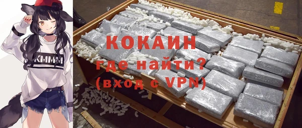 крисы Коряжма
