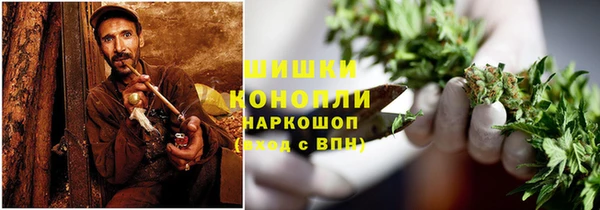 крисы Коряжма